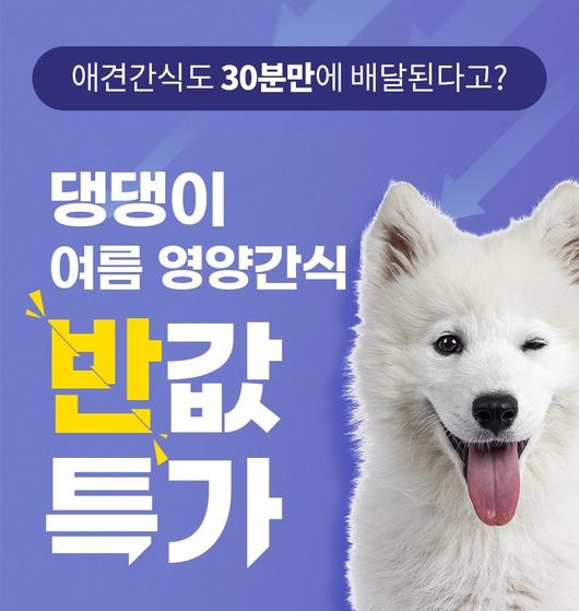 뉴스1