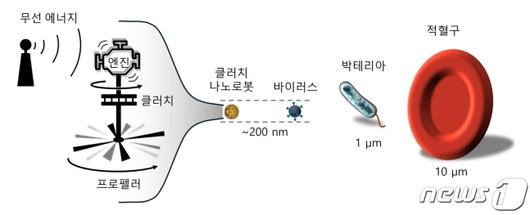 뉴스1