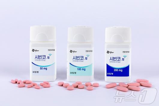 뉴스1