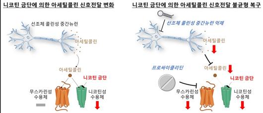 뉴스1