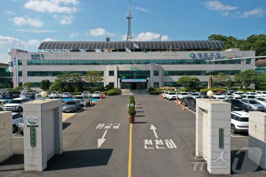 뉴스1