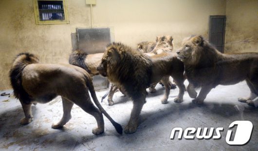 뉴스1
