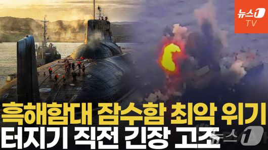 뉴스1