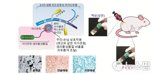 뉴스핌