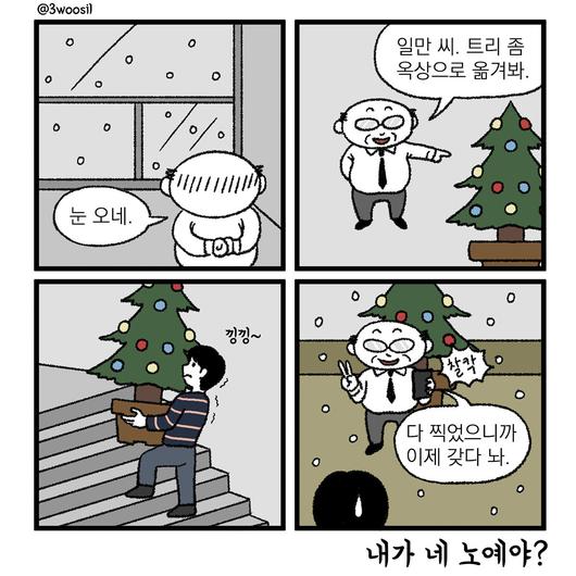 노컷뉴스