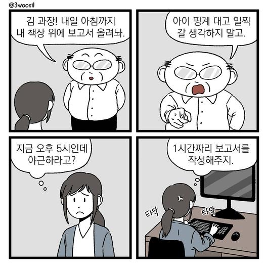 노컷뉴스