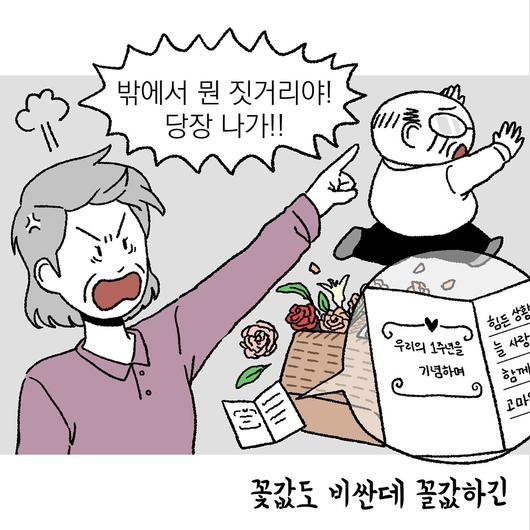 노컷뉴스