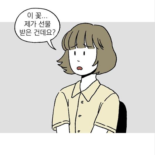 노컷뉴스