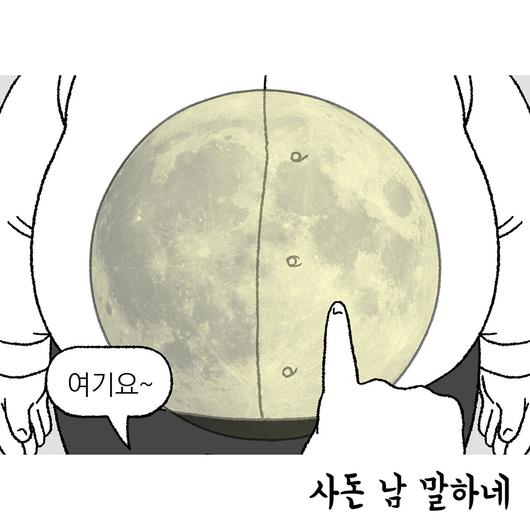 노컷뉴스