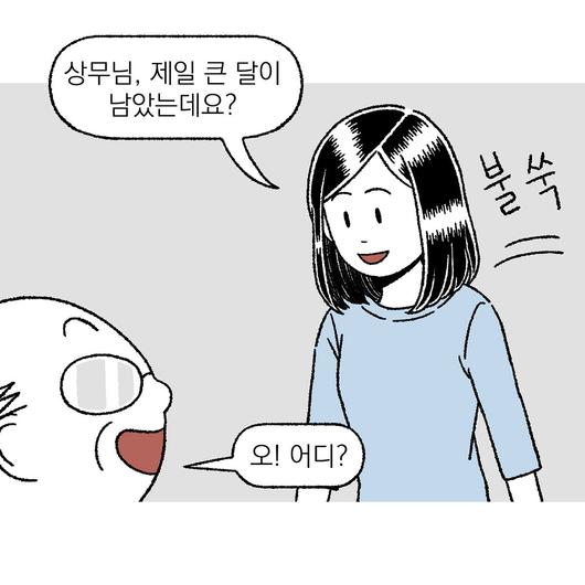 노컷뉴스