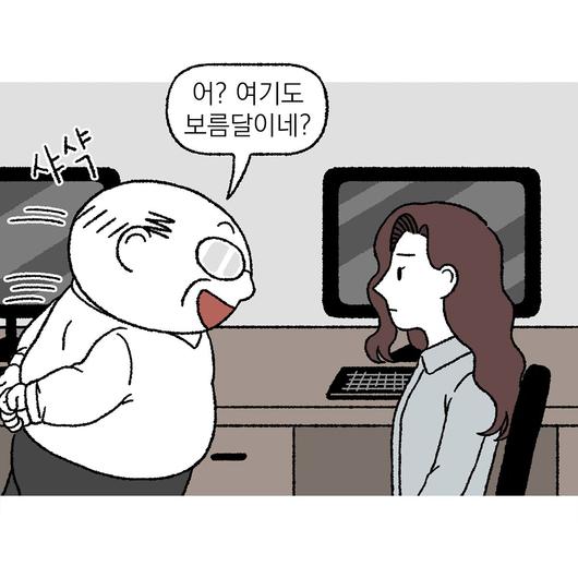 노컷뉴스