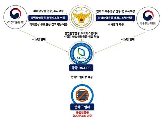 노컷뉴스