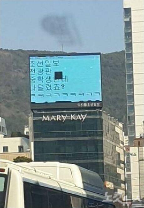 노컷뉴스