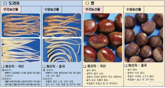 노컷뉴스