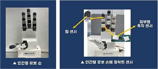 노컷뉴스