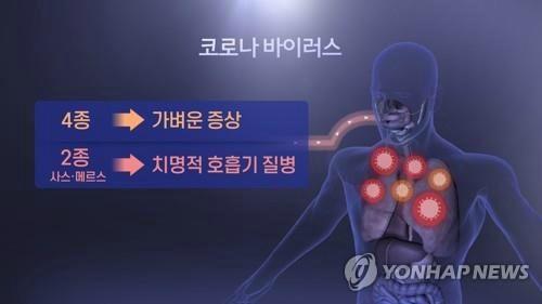 노컷뉴스