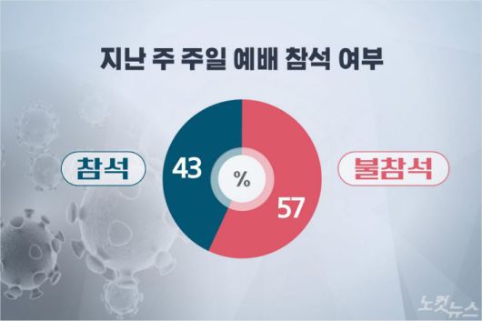 노컷뉴스