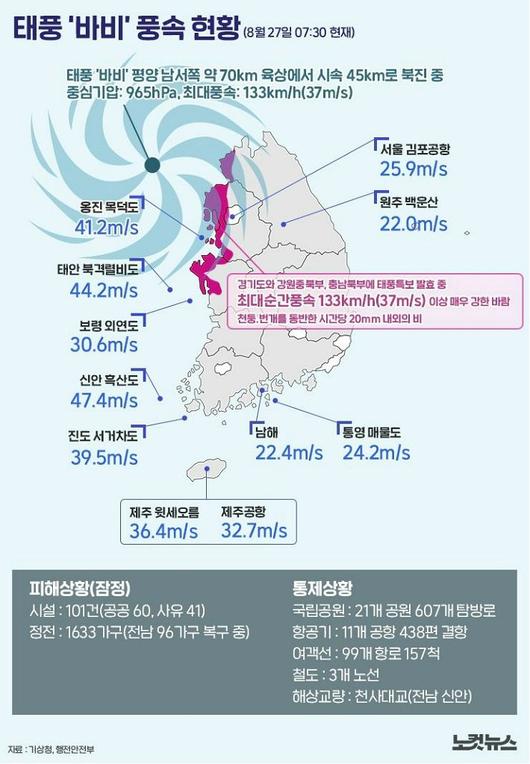 노컷뉴스