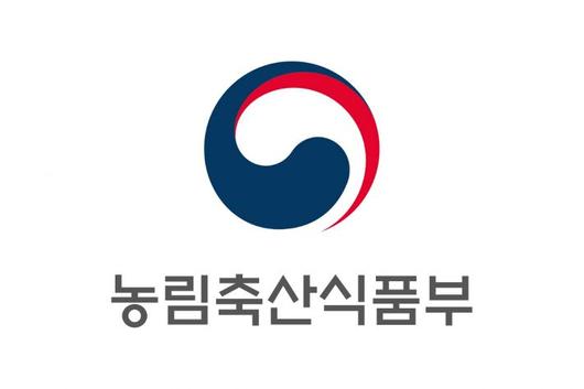 노컷뉴스