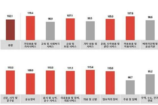 노컷뉴스