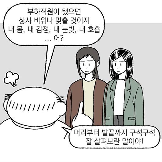 노컷뉴스