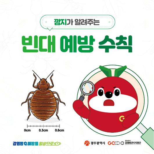 노컷뉴스