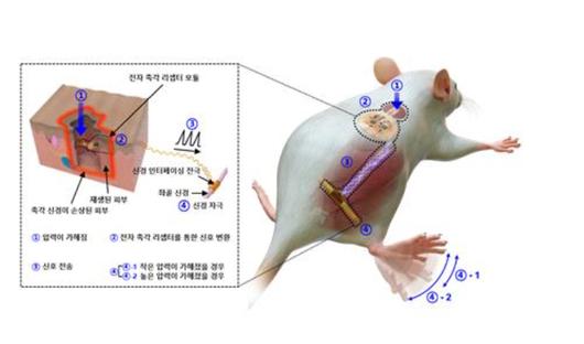 노컷뉴스