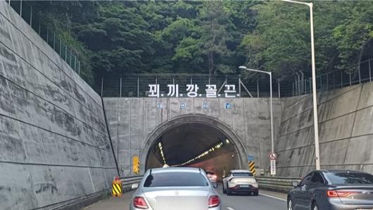 노컷뉴스