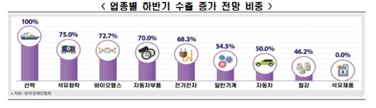 노컷뉴스