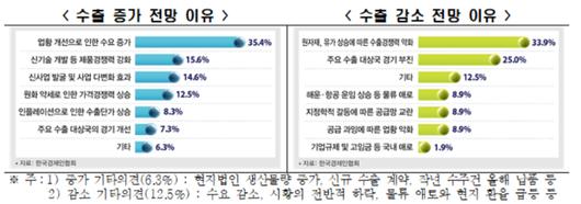 노컷뉴스