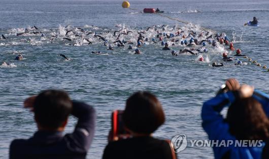 노컷뉴스