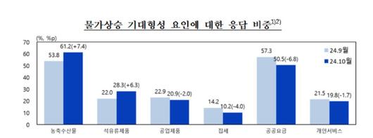 노컷뉴스