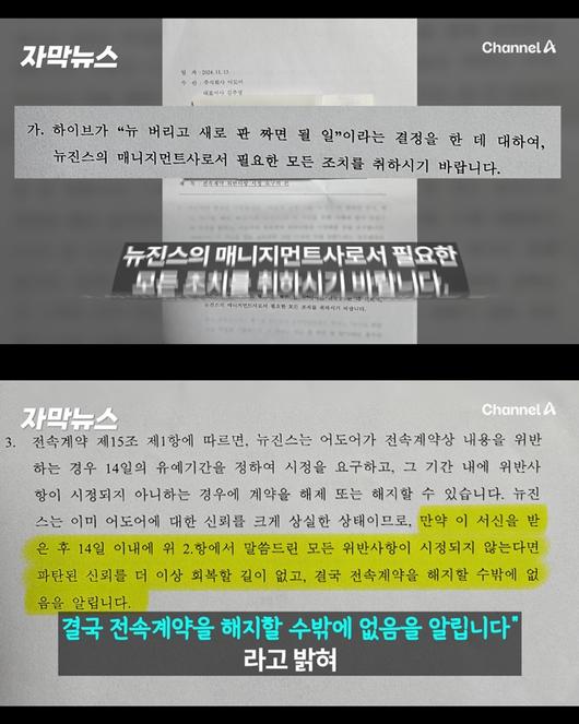 노컷뉴스