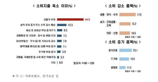 노컷뉴스