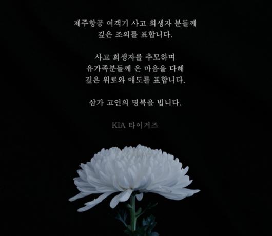 노컷뉴스