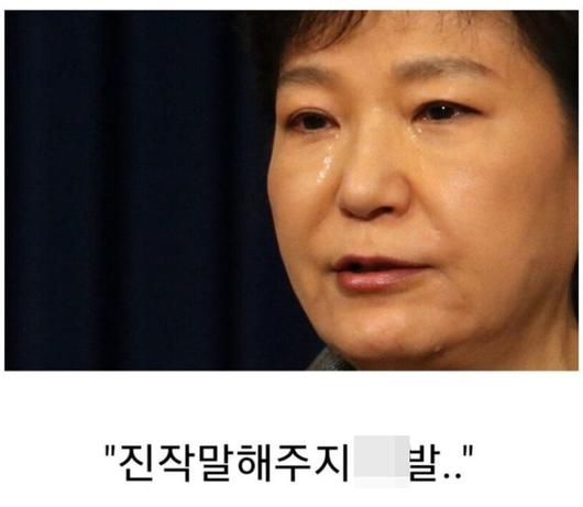 노컷뉴스