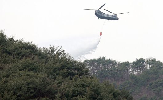노컷뉴스