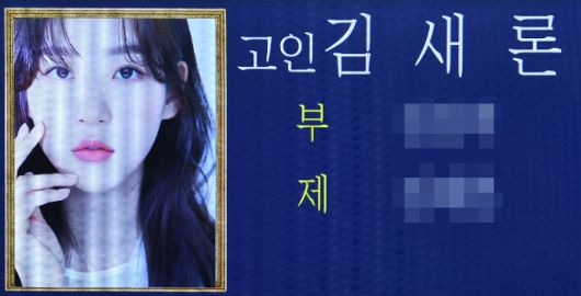 노컷뉴스