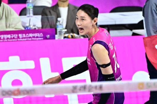 노컷뉴스