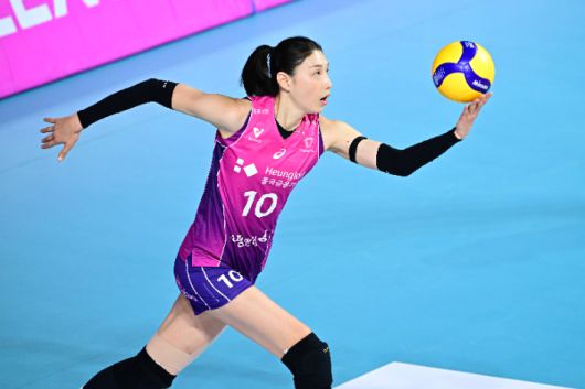 노컷뉴스