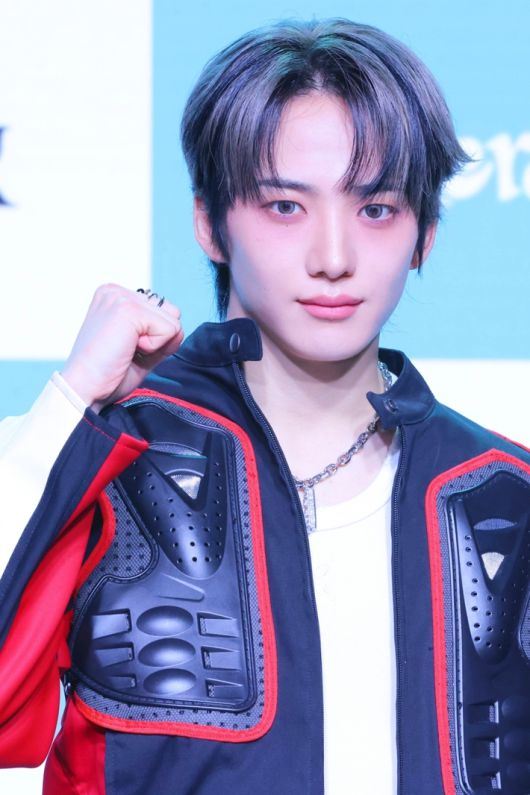 노컷뉴스