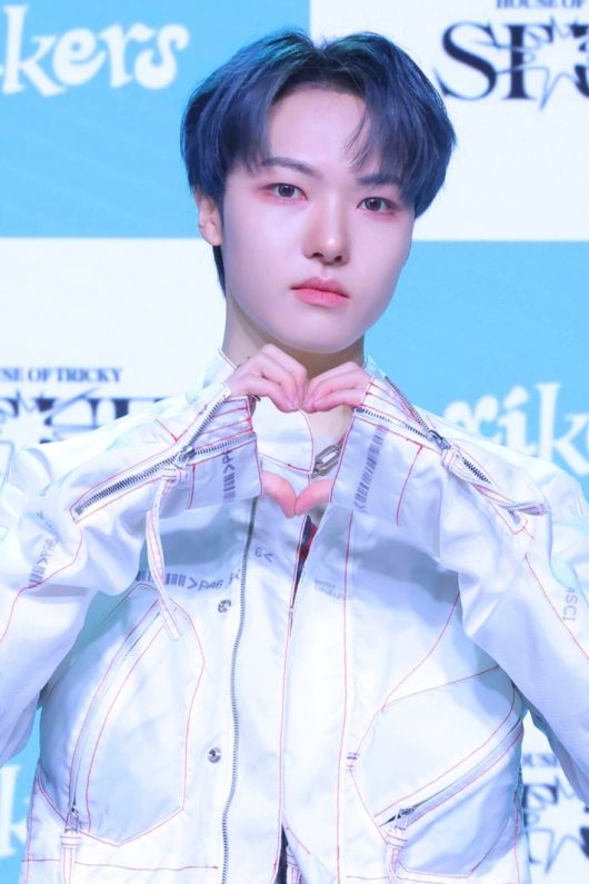 노컷뉴스