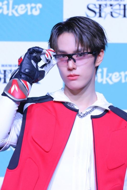 노컷뉴스