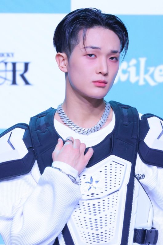 노컷뉴스