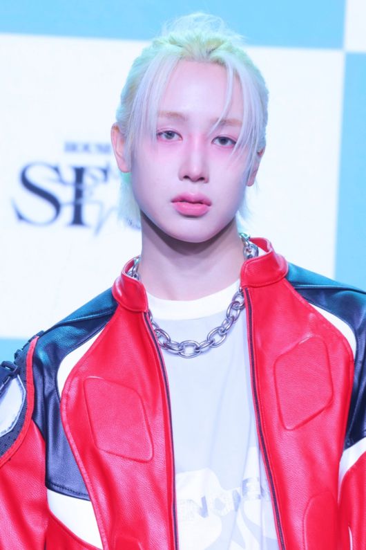 노컷뉴스