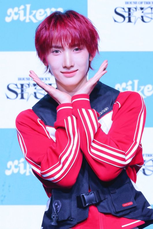 노컷뉴스