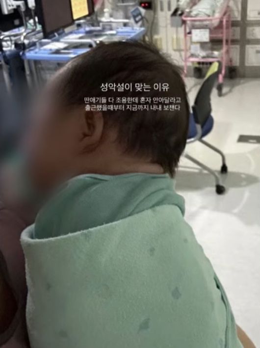 노컷뉴스