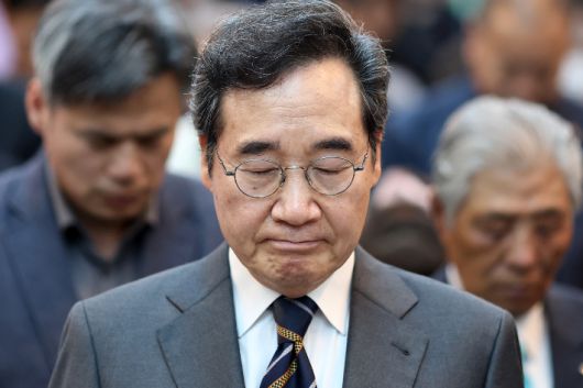 노컷뉴스