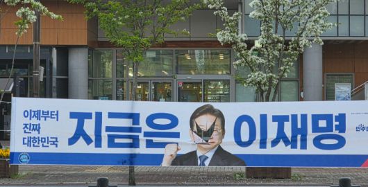 노컷뉴스