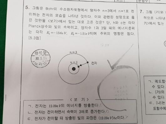 노컷뉴스